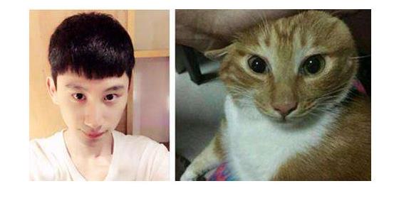 LOL:xiye代替小虎参加亚运会,在英文解说的眼