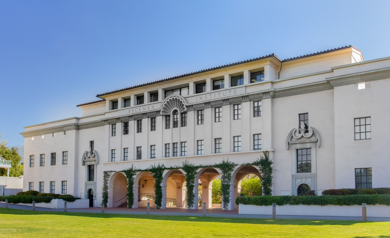 最新世界十大著名大学排名,芝加哥垫底,清华北