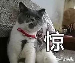 英雄联盟主播笑笑出演全职高手网剧? 叶修原型