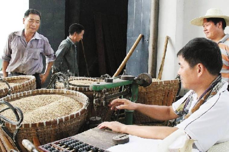 在农村,以前农民上交的公粮,到底算不算交社保