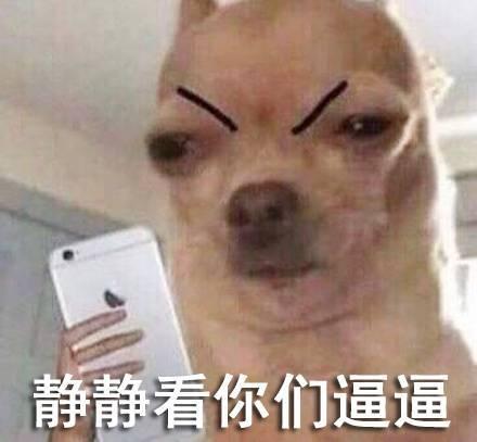 狗狗动态_狗狗图片图配字哈哈表情表情qq大全包表情图片