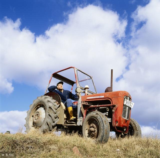 十年后,农村值钱的,不是土地也不是房屋,而是这
