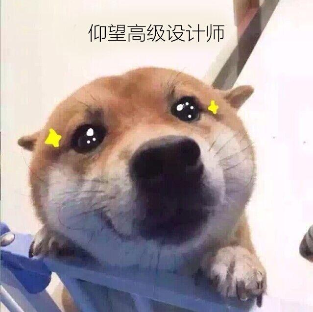 女子山里捡到小奶狗,回家养了俩月变了样,男友:你捡的