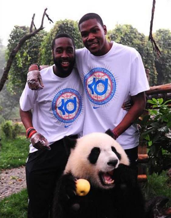 nba球星与熊猫合影!奥尼尔表情搞怪,阿泰与熊猫合影网友笑了