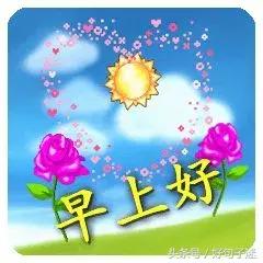 微信朋友圈早上好表情早上好图片图片a朋友狗大全大全的可爱搞笑图片