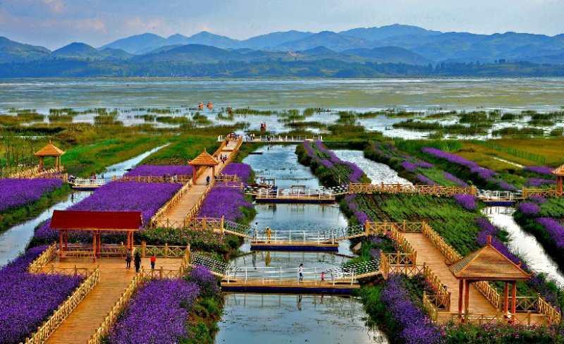 贵州毕节2018夏季避暑旅游宣传推介走进成都