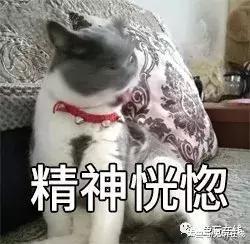 英雄联盟主播笑笑出演全职高手网剧? 叶修原型