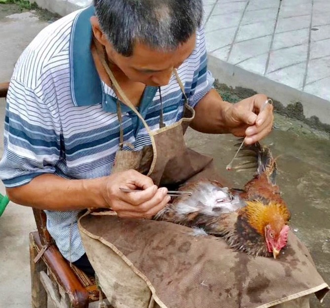 拍客见闻 | 赣西边界的南坑小镇:惊现失踪已久的阉鸡