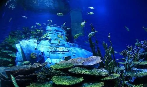 这里有一份武汉游玩攻略，国庆假期安排一下？！