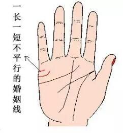 手相看你早婚还是晚婚，婚姻如何。神准!！