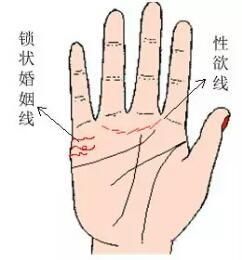 手相看你早婚还是晚婚，婚姻如何。神准!！