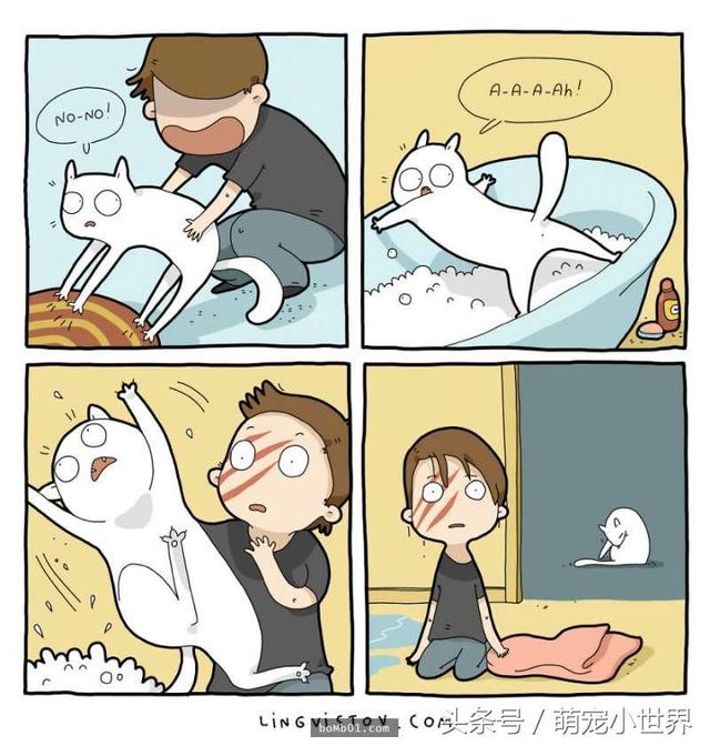 18张猫奴的日常漫画,给想要养猫的人知道生活会有什么样的改变
