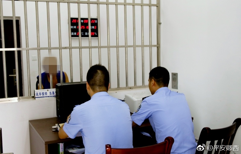 村霸寻衅滋事横行乡里抓