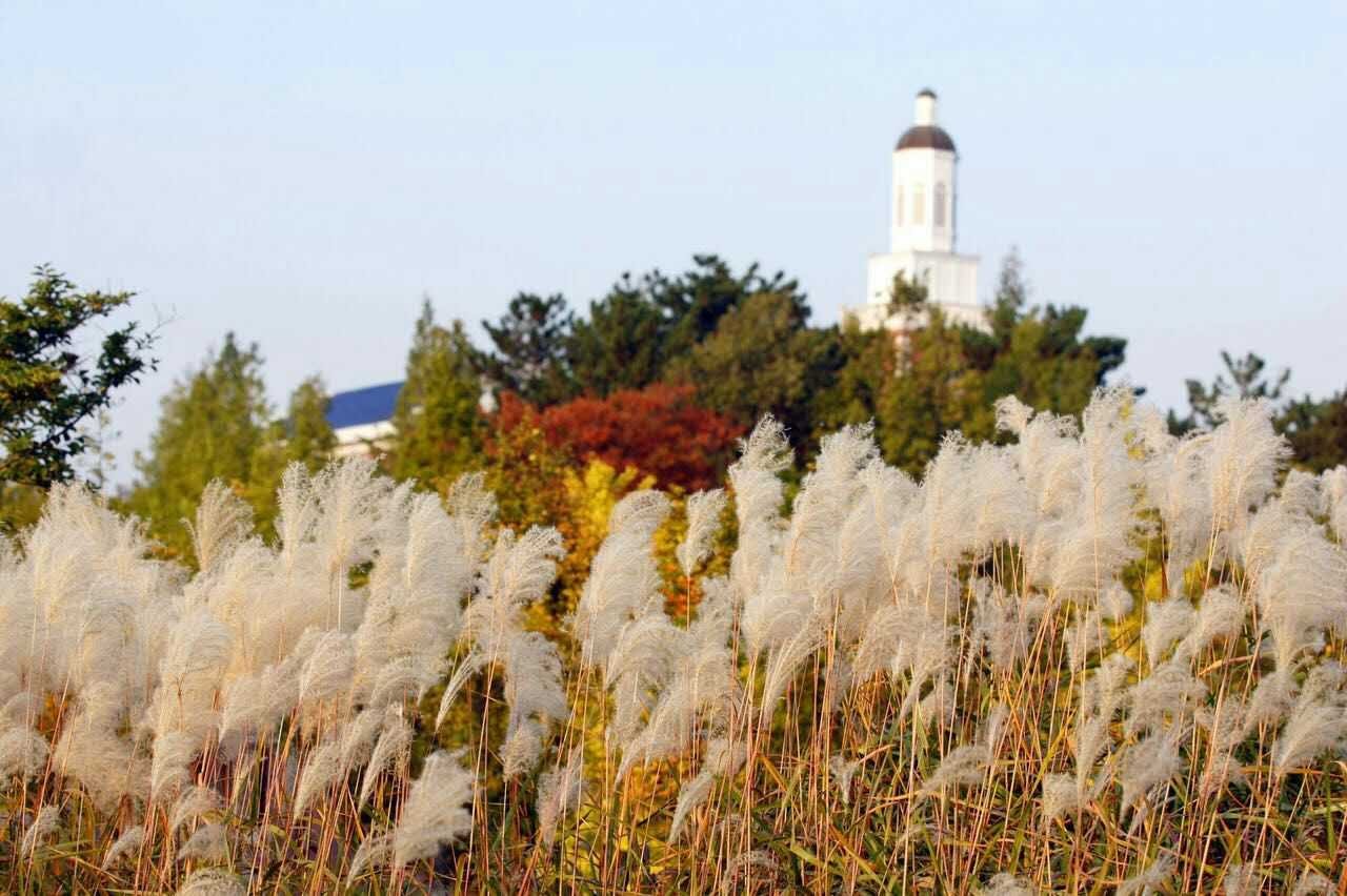 2019年韩国启明大学寒暑假读博士特别课程介