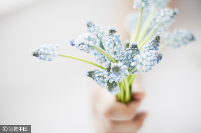 2018山的东高考理科480分左右能上什么大学?