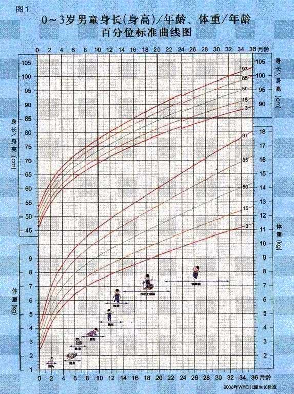 11岁男孩身高2.06米 从小喝牛奶真的能让孩子长高十几公分吗?