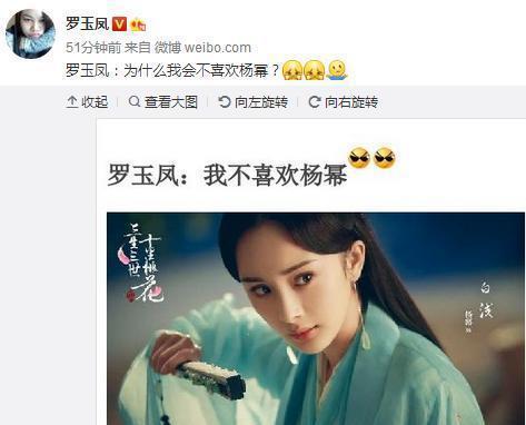 凤姐发长文谈: 我为什么不喜欢杨幂, 再一次引网友们热议