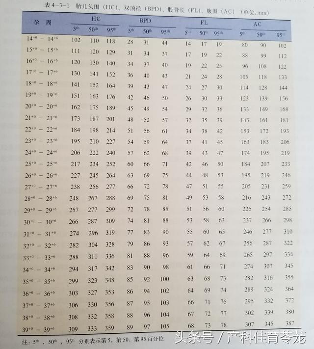 头围与孕周对照表 新浪网