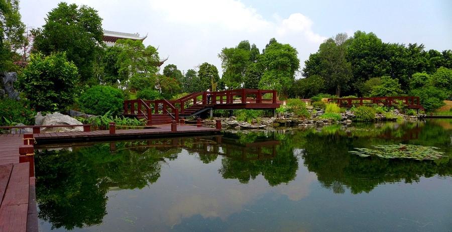 广州市内最大的湿地公园, 这里的生态环境非常好!