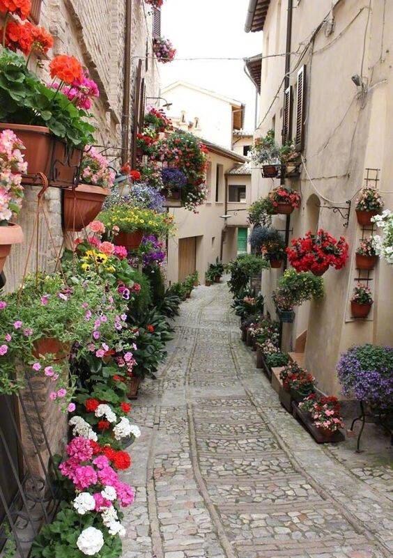 石头与鲜花完美融合的鲜花小镇——意大利小镇斯佩罗