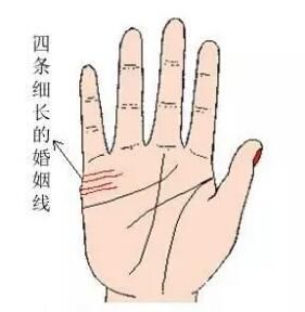 手相看你早婚还是晚婚，婚姻如何。神准!！