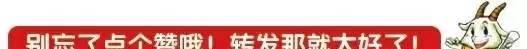 廉江红橙节除了可以去吃红橙，还有全国各地的不同美食可吃，约起