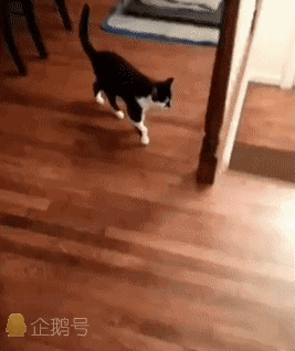 爆笑gif图:看啥看,没见过在马路中间泡澡的吗?