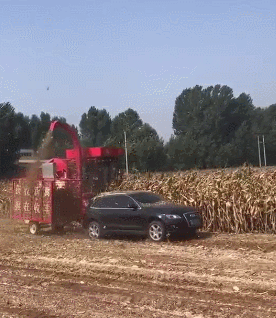 爆笑gif动图看一次笑十次 妹子,你们俩太有夫妻相啦