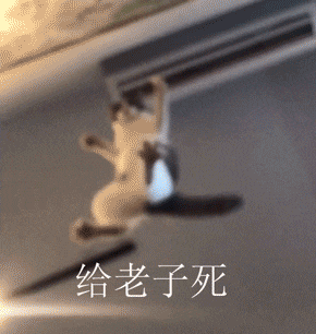少女怼人表情包