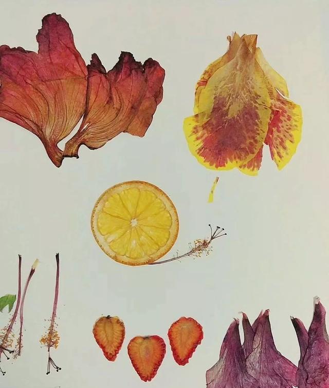 不花钱的生活艺术原来这么简单,有惊喜啊!