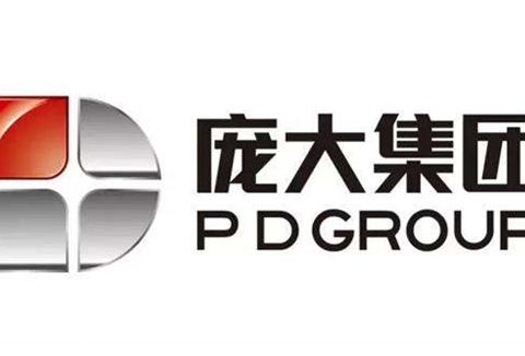 庞大集团关联交易藏猫腻 昔日经销商巨头瞒你有多少？