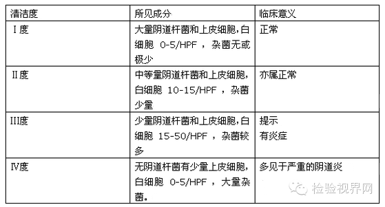 教你看懂化验单"白带常规"