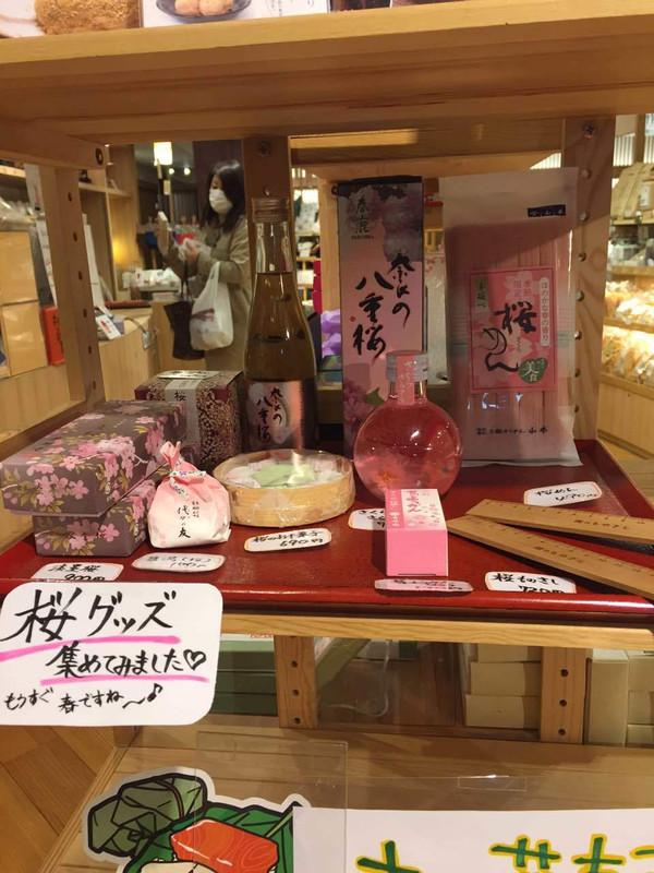 日本樱花节之初体验!,不可不知的秘密
