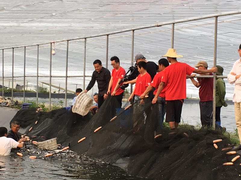 中央电视台CCTV-7《致富经》走进广西东兴德