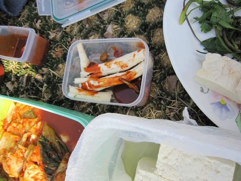 镜头下:真实的韩国生活,爱吃杂粮饭,几乎不吃炒