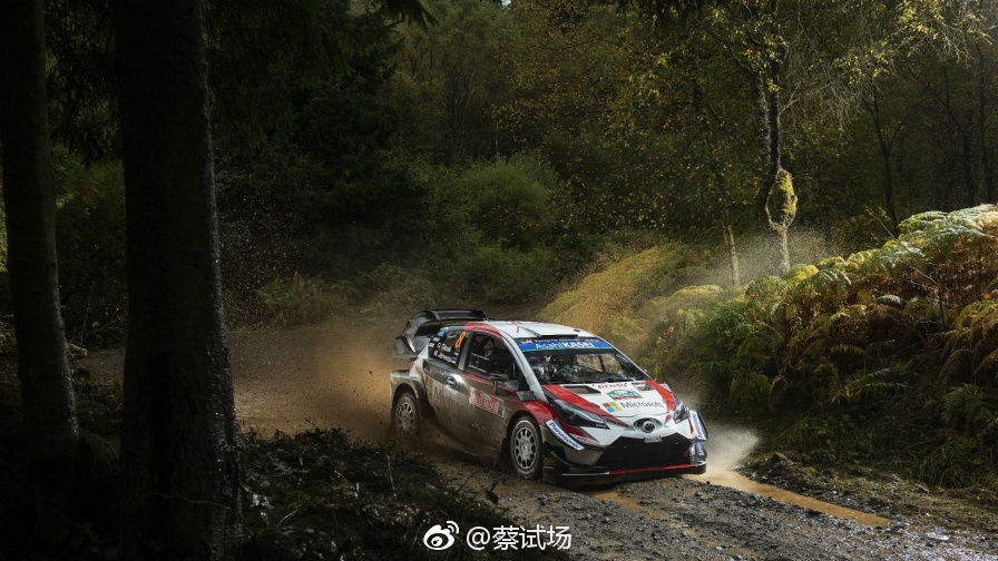 WRC 2019赛历发布:除了今年全部13个分站赛