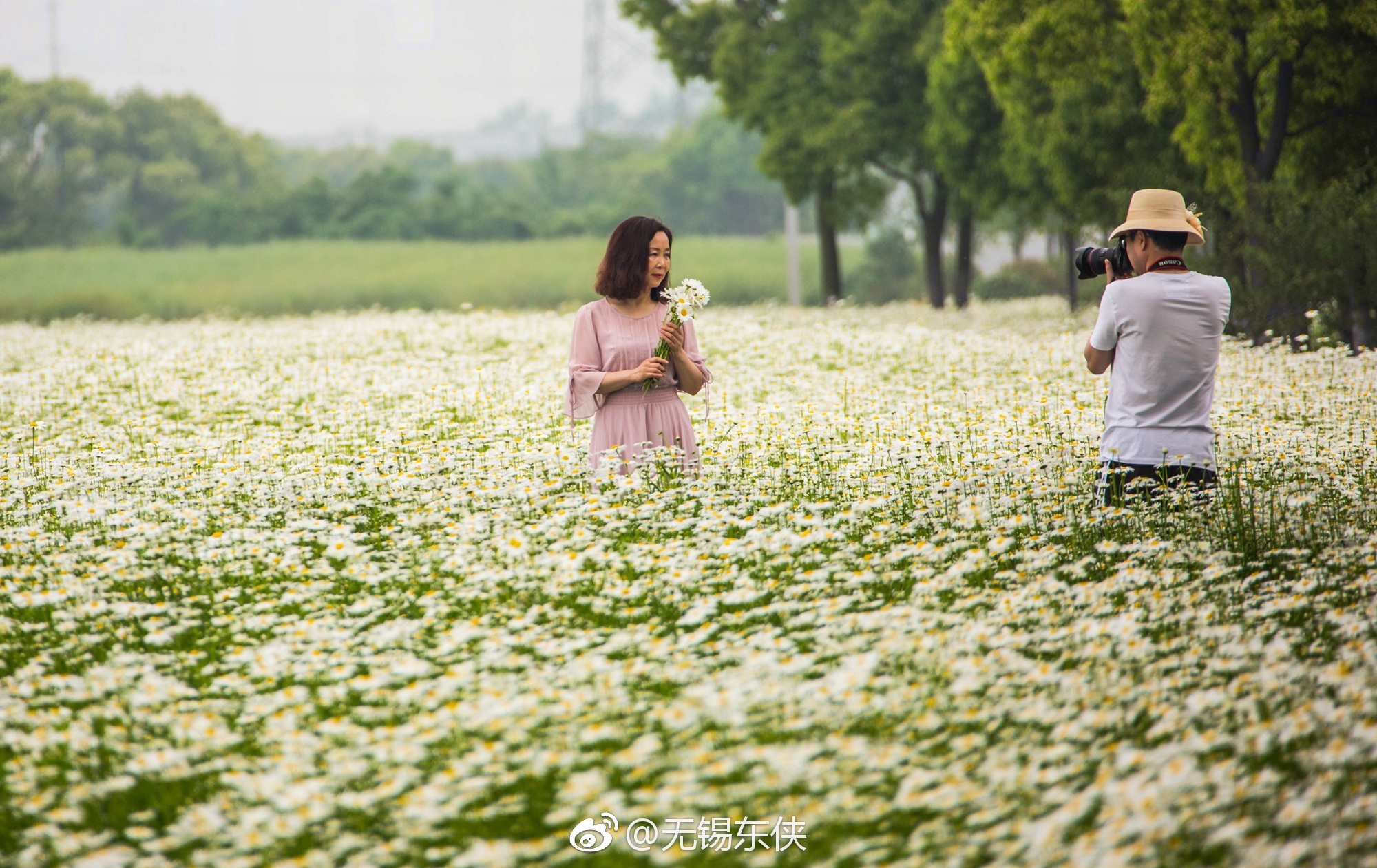 花儿与微笑。请把你的歌带回我的家,请把你的微笑留下