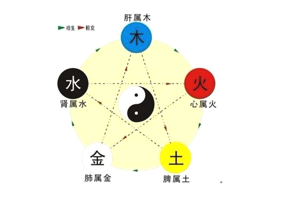 八字金多缺木,易患肝胆疾病