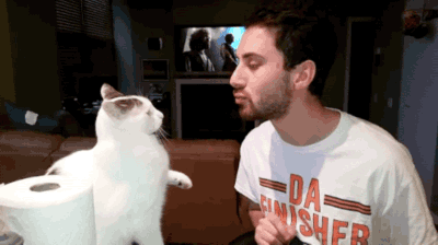 求这张动图的出处