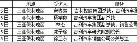 315，我想和吉利的领导们聊聊