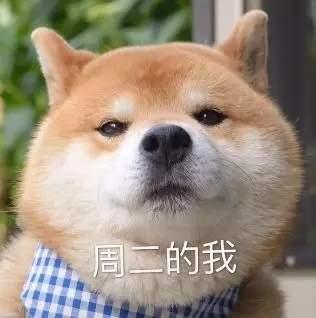 一周七天狗表情包:周一的我,周二的我,周三的我……周六的我