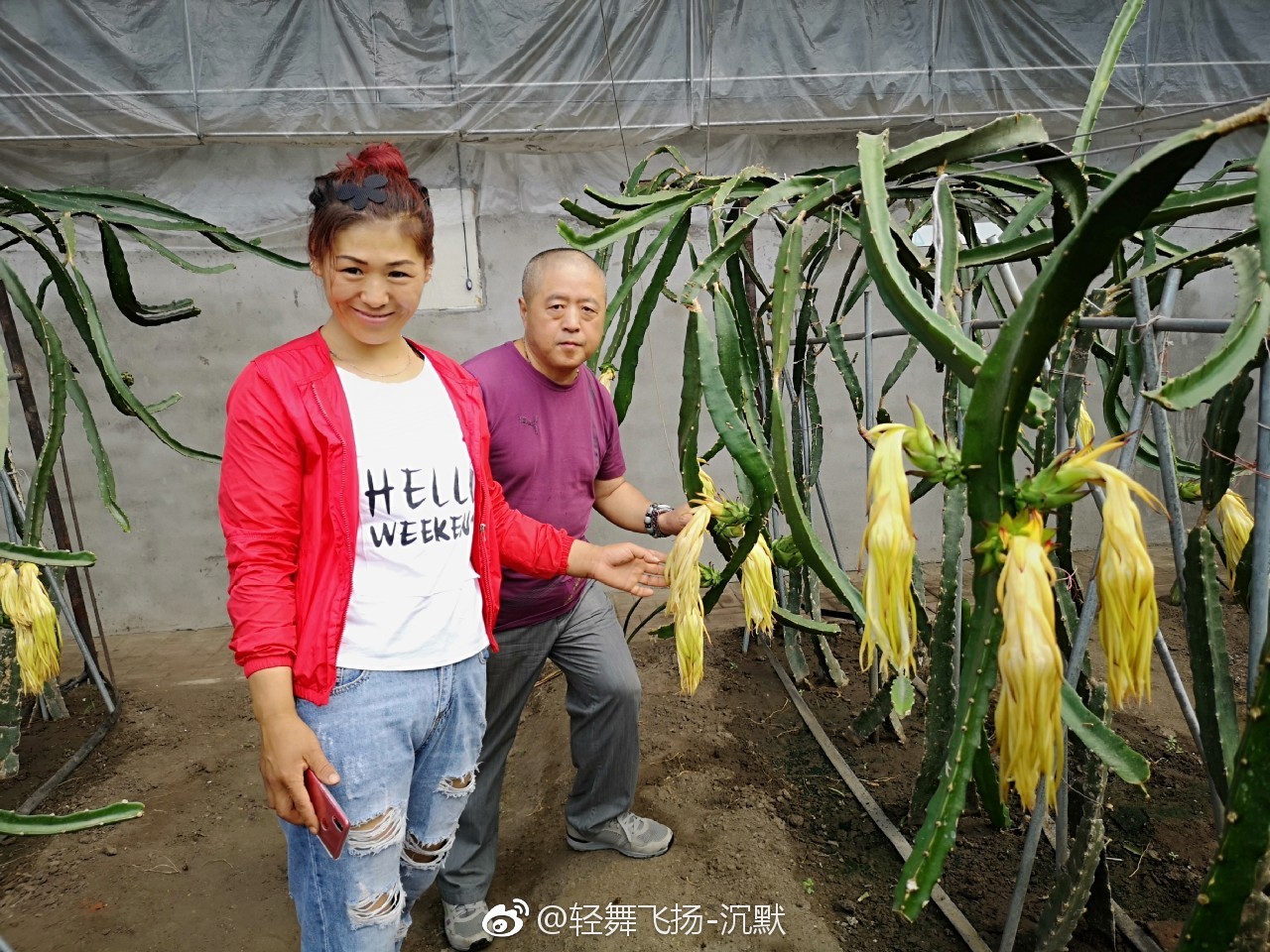 隆台生态果蔬采摘园,地点