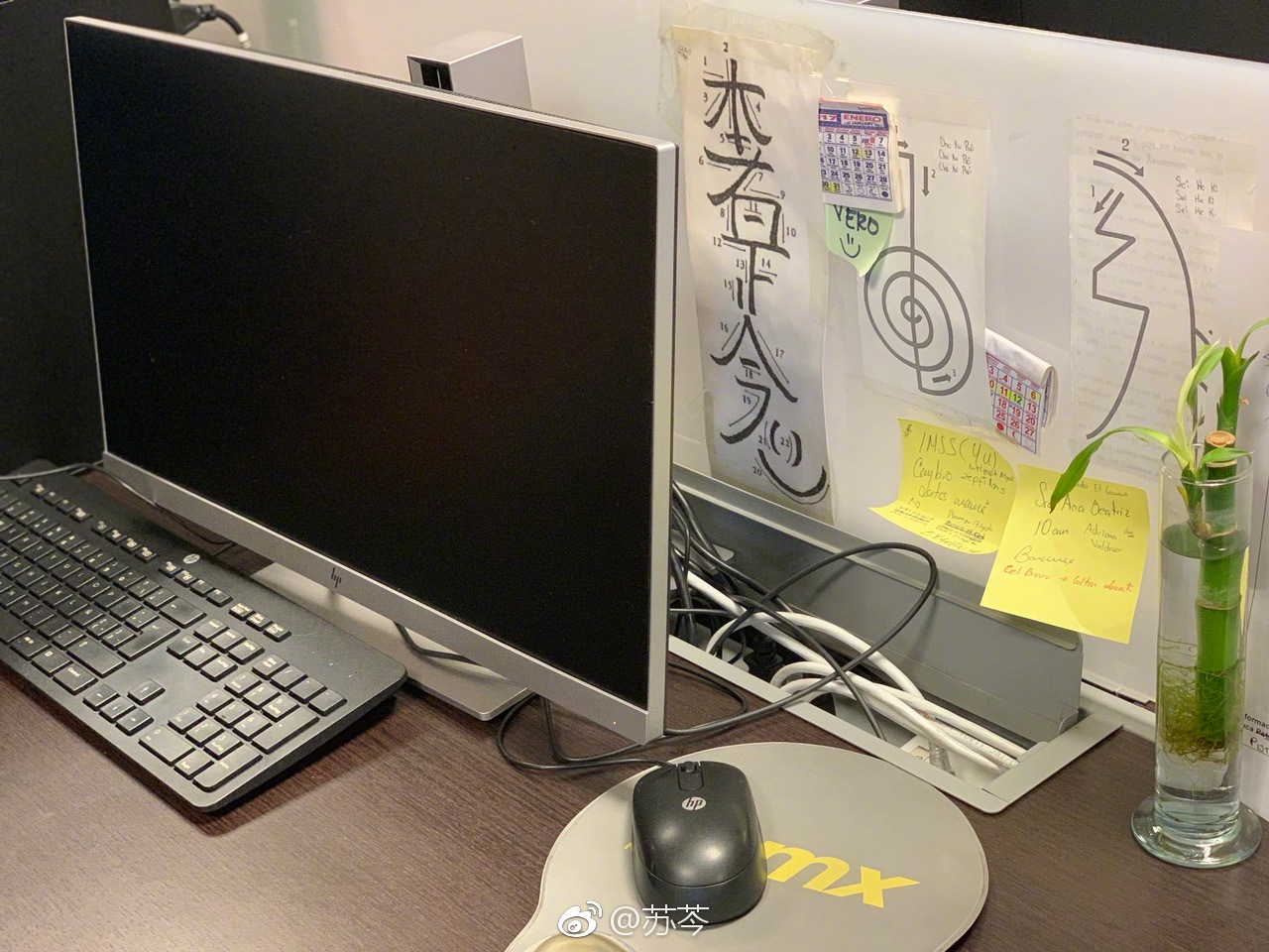 拜访墨西哥通讯社。据说墨西哥人的工作时间是9:00-18:00
