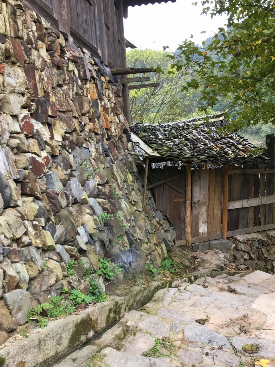 下层是石头打地基,上层为木板房,很多老房子具有百年历史
