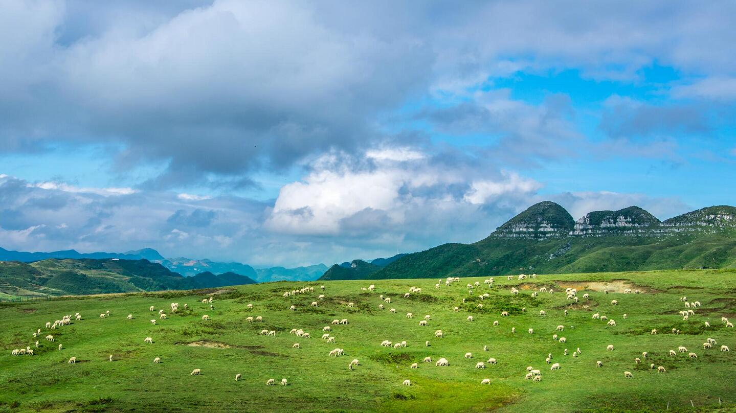 毕节韭菜坪:贵州最高峰