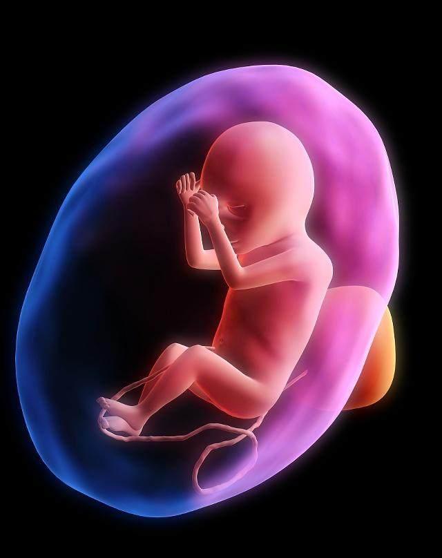 宝宝一天胎动几次最正常? 比孕妇妈妈们想的多一倍!