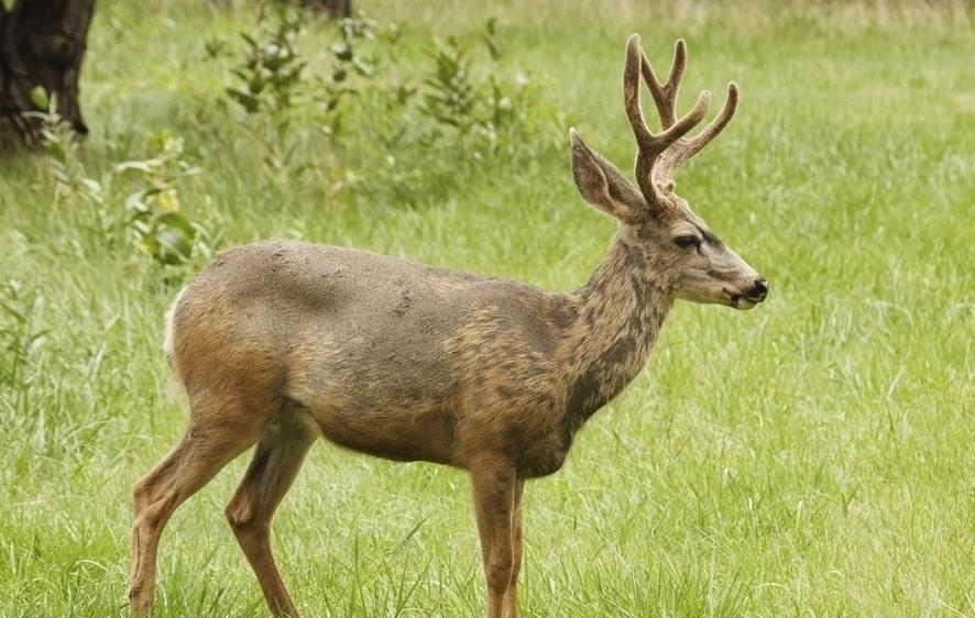 ��Щ�������ȫ�Ķ���, ʵ�������Σ�յ�