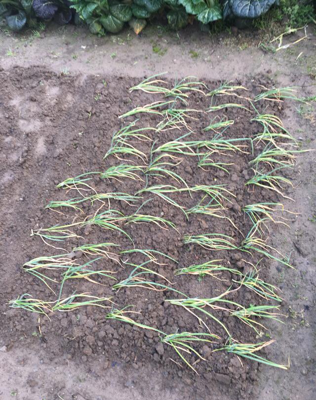 生前还有事情未了？人临死前流眼泪：究竟因为什么原因...