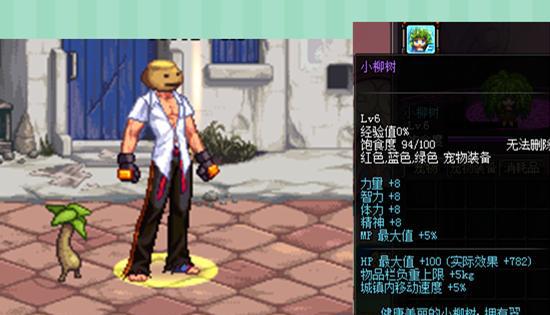dnf细数拍卖行高性价比宠物，没有宠物是要被鄙视的哟