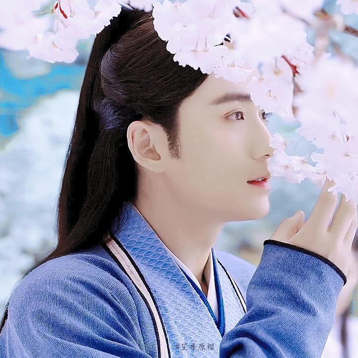 朱一龙古装合集了解一下;居老师的古装扮相也